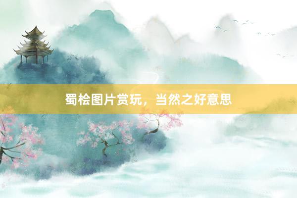 蜀桧图片赏玩，当然之好意思