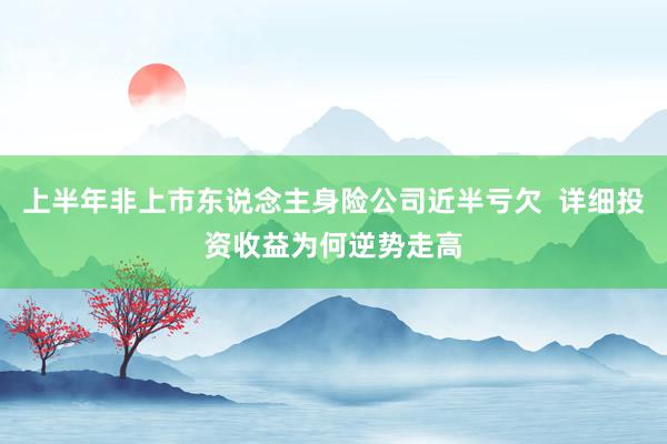 上半年非上市东说念主身险公司近半亏欠  详细投资收益为何逆势走高