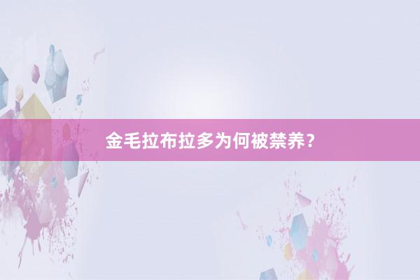 金毛拉布拉多为何被禁养？