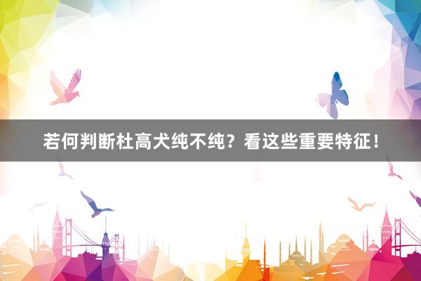 若何判断杜高犬纯不纯？看这些重要特征！