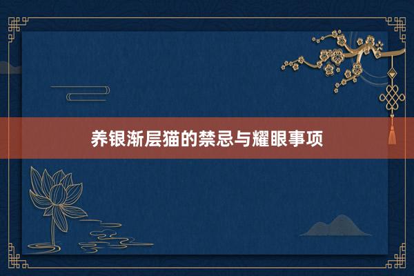 养银渐层猫的禁忌与耀眼事项