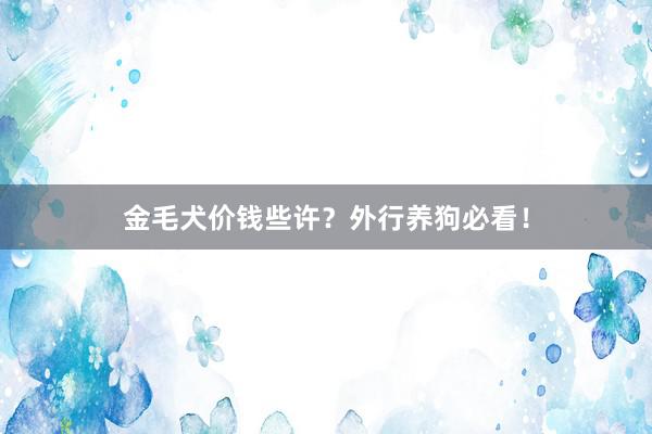 金毛犬价钱些许？外行养狗必看！
